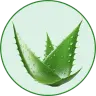 Aloe Vera Extract