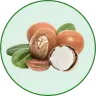 Shea Butter